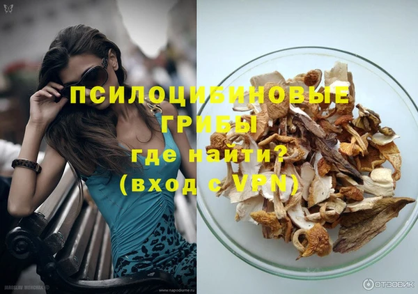 тгк Алзамай