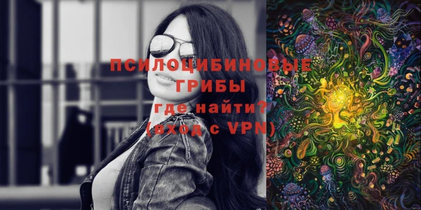 тгк Алзамай