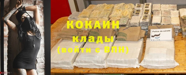 тгк Алзамай