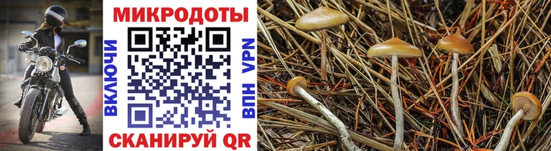Галлюциногенные грибы MAGIC MUSHROOMS  Заинск 